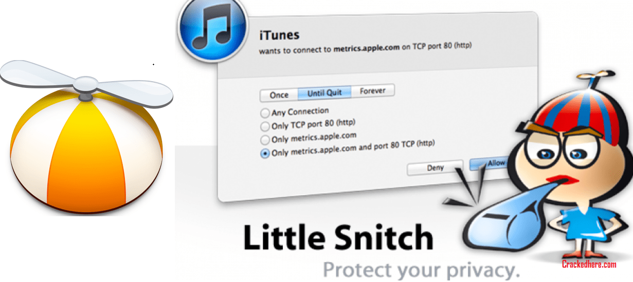 littlesnitch mac-torrent